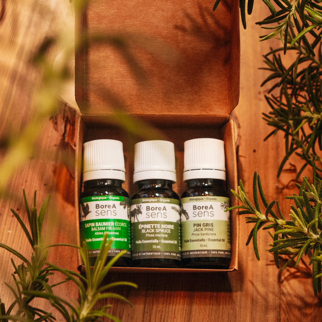 Ensemble cadeau Trio Huiles Essentielles Nordiques