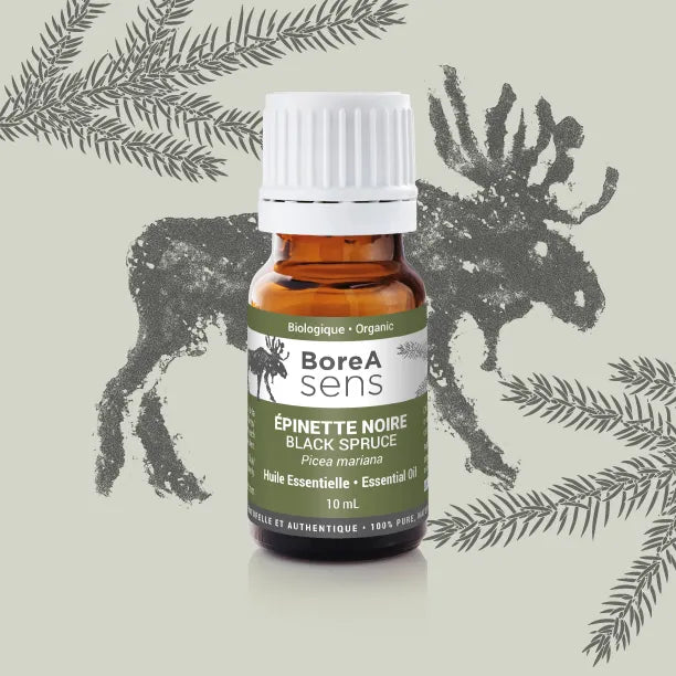 Huile essentielle Épinette Noire - Bio