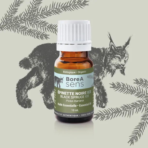 Black Spruce – ICE – Organic