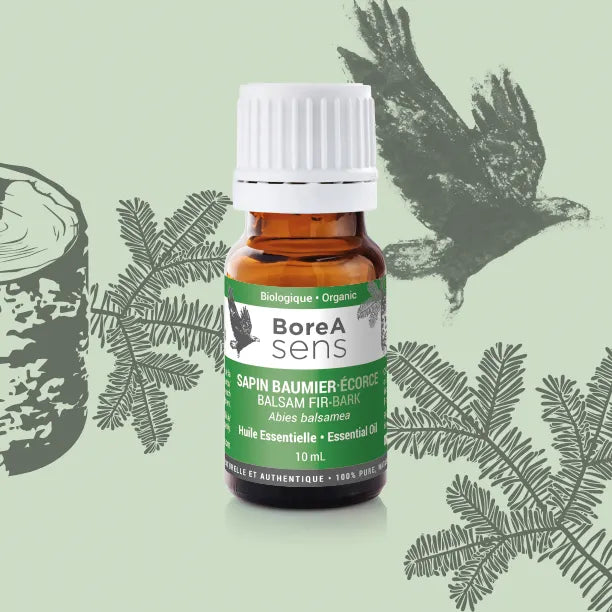 Huile essentielle de sapin baumier écorce bio du Québec dans flacon ambré BoreA Sens
