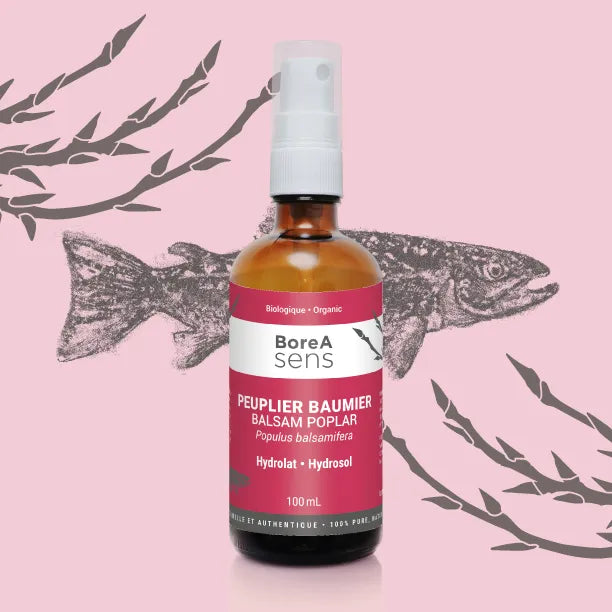Balsam Poplar – Organic