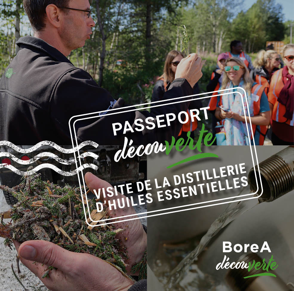 Montage de plusieur image représentant la visite de la distillerie