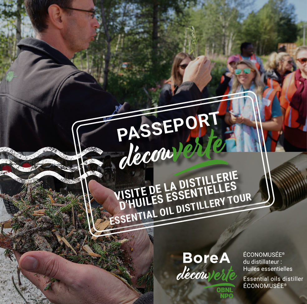 Passeport DécouVERTE • Saison 2024-2025