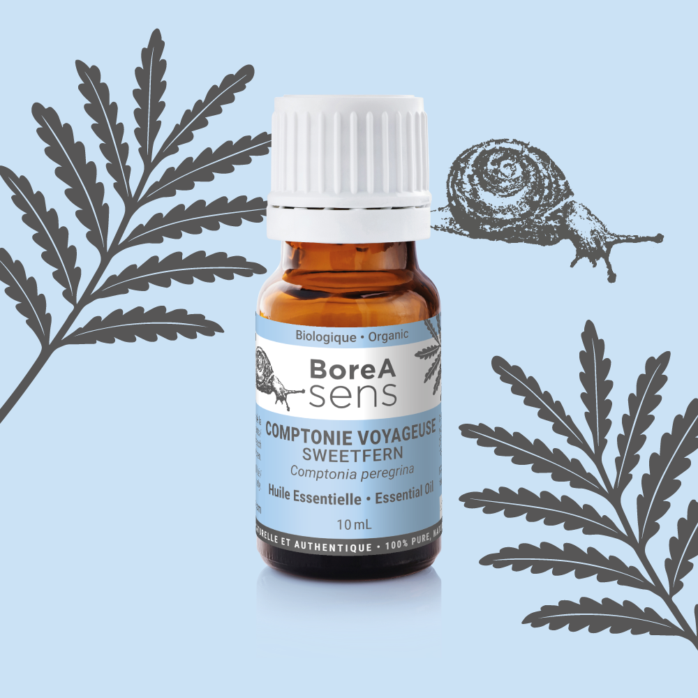 Comptonie Voyageuse – Bio