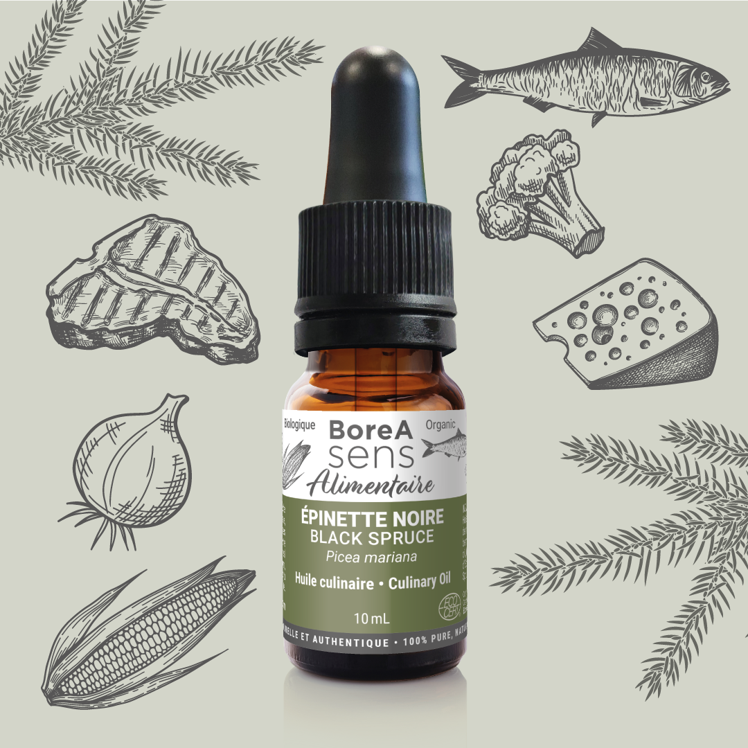 Black Spruce Culinary Essential Oil