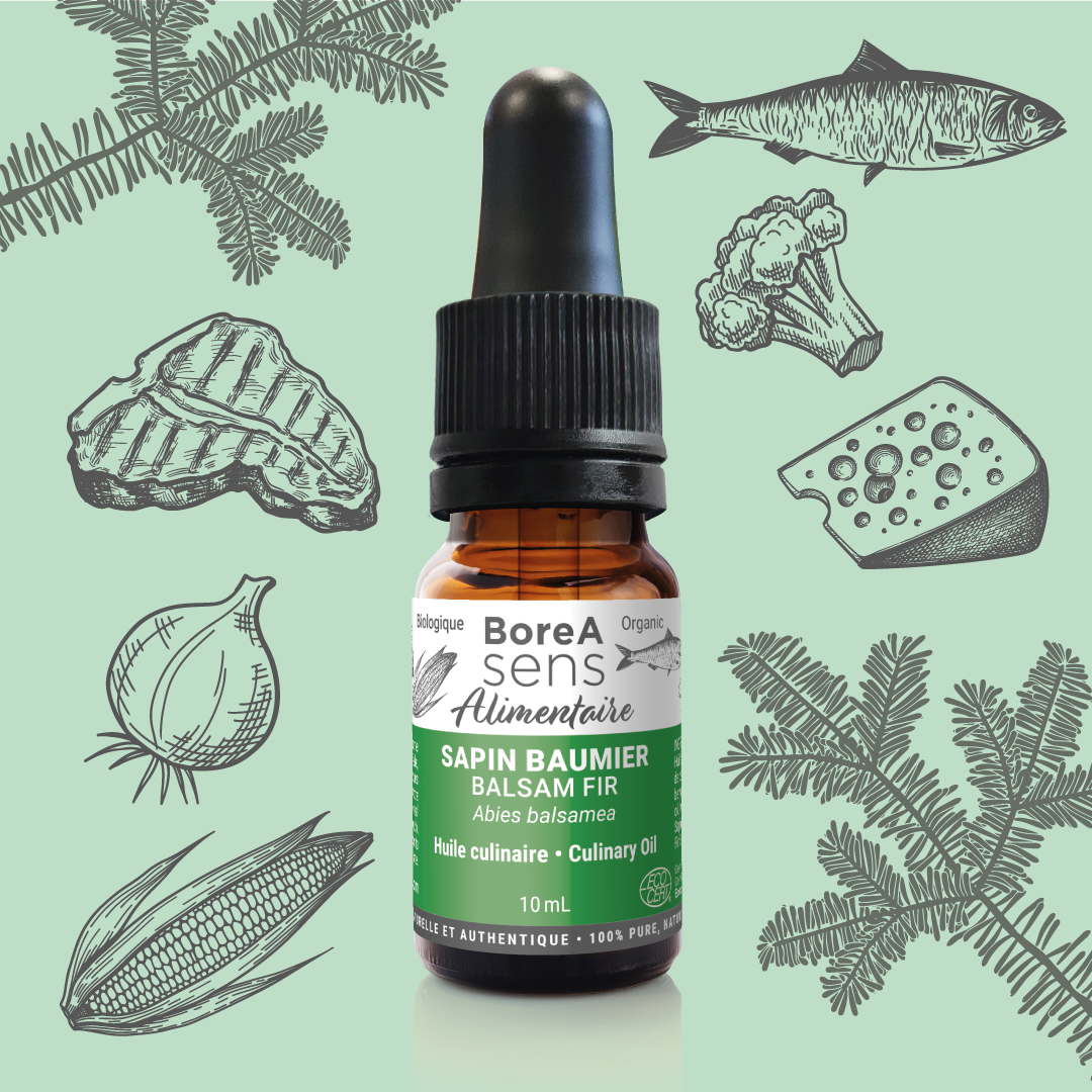 Balsam Fir Culinary Essential Oil