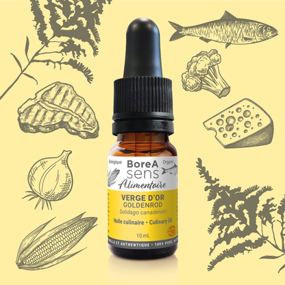 Goldenrod Culinary Essential Oil