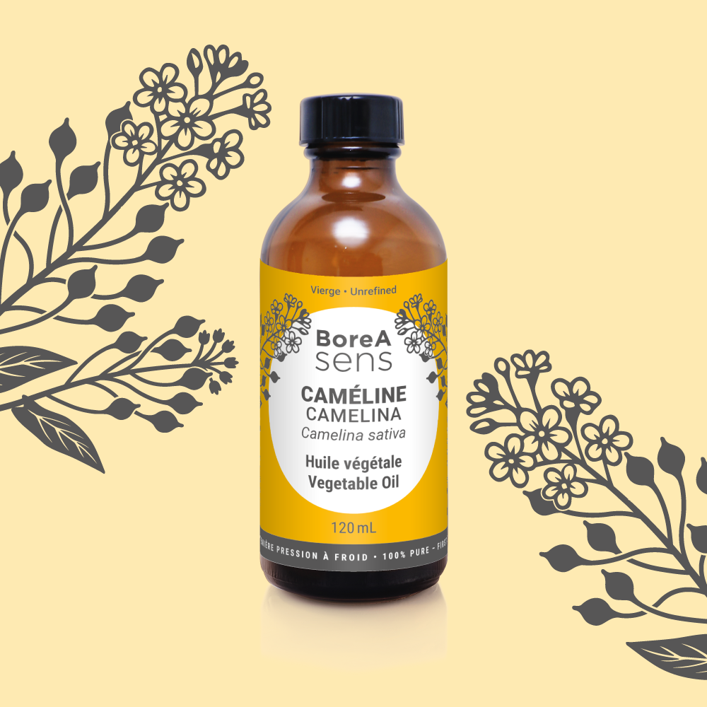 Camelina Vegetable Oil