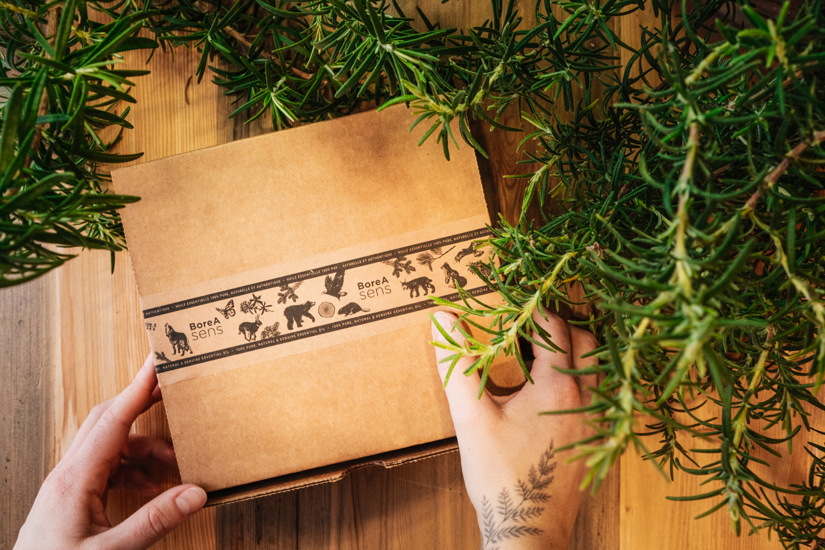 Boreal Forest Gift Set