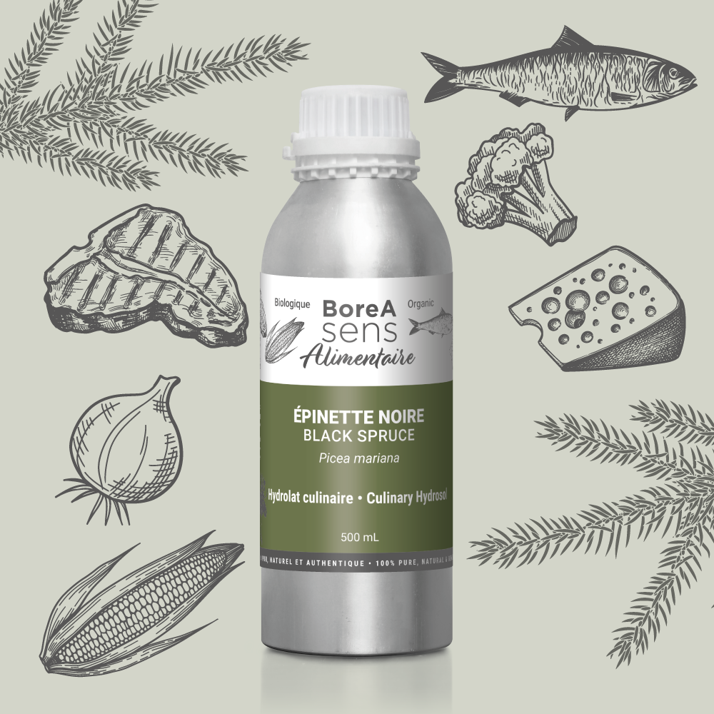 Culinary Hydrosol - Black Spruce - Organic 