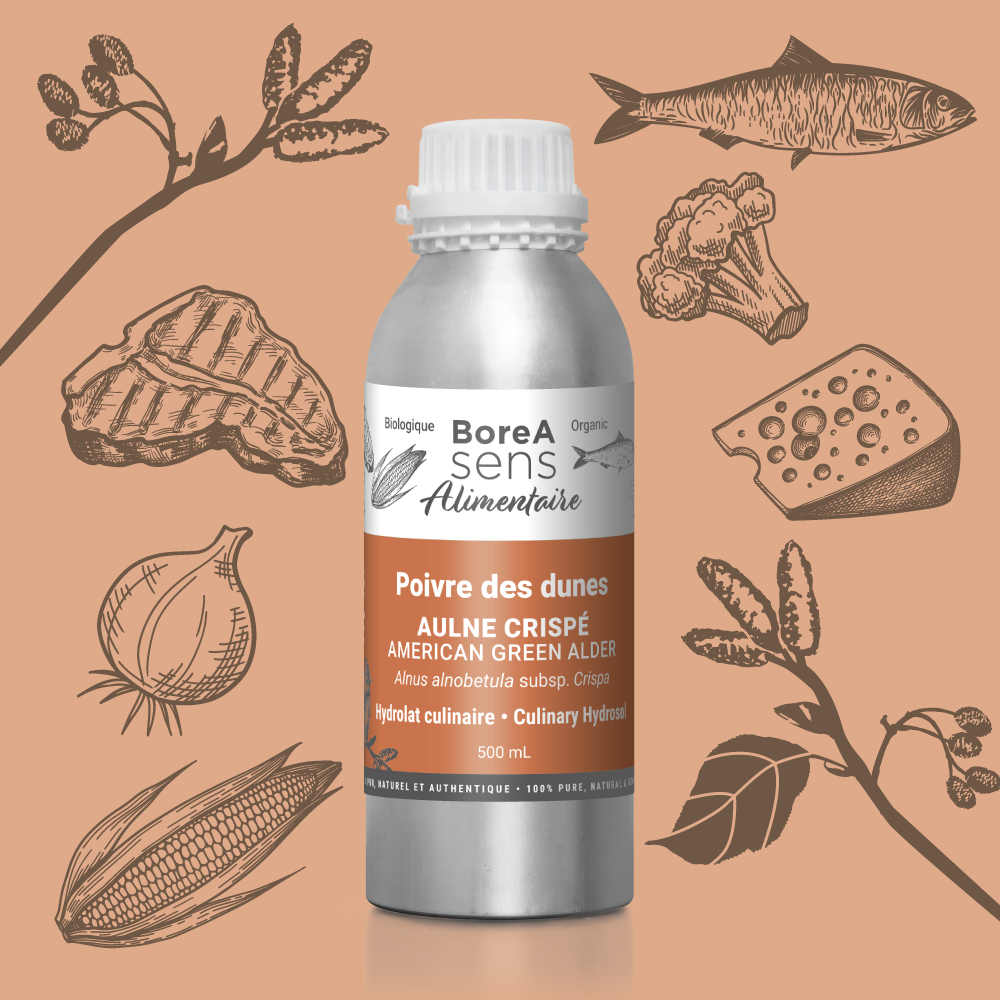 Culinary Hydrosol – Dunes Pepper - Organic