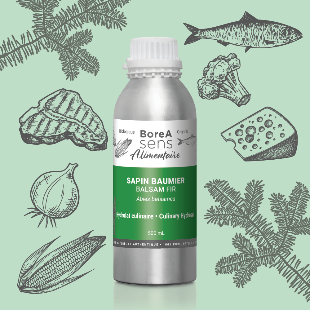 Culinary Hydrosol - Balsam Fir - Organic 