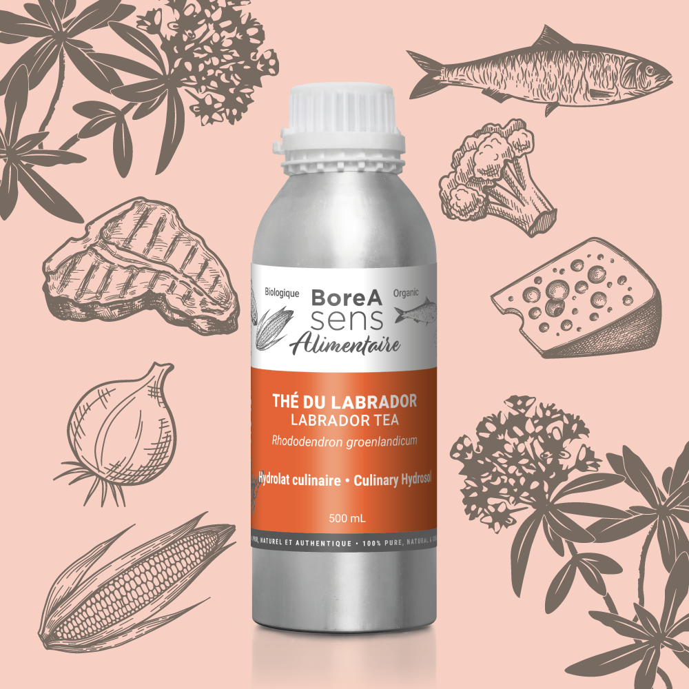 Culinary Hydrosol – Labrador Tea - Organic