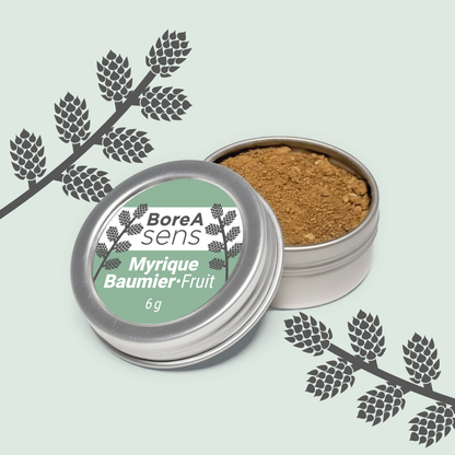 Myrique baumier boréal moulu dans pot métallique BoreA Sens