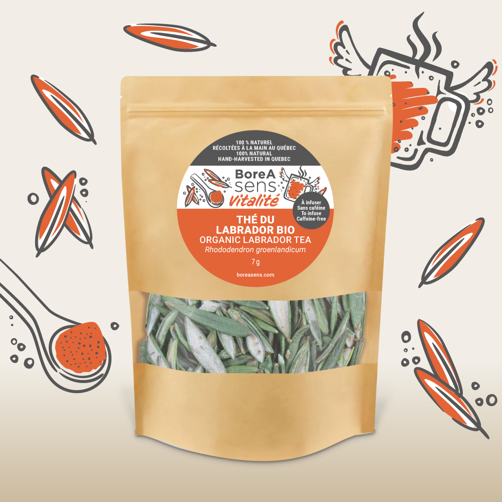 Labrador Tea Labeled Organic Labrador Tea Leaves | BoreA Sens – BoreA SENS