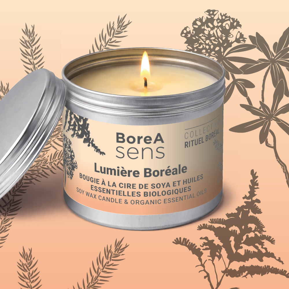 Bougie à la cire de soya boréale avec épinette noire dans pot métallique