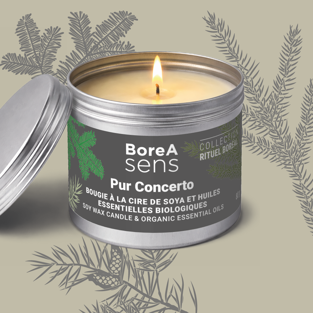Bougie Pur Concer dans pot métallique BoreA Senso