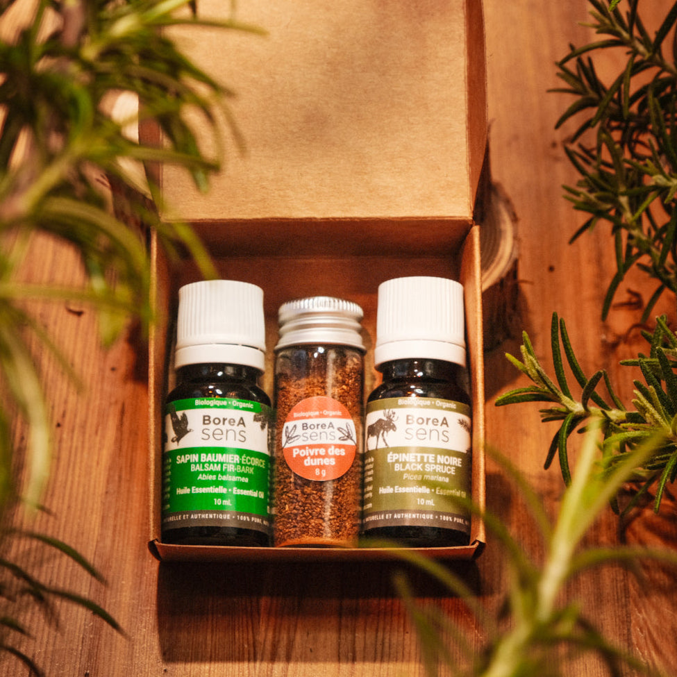 Northern Essential Oils + Dunes Pepper – Organic