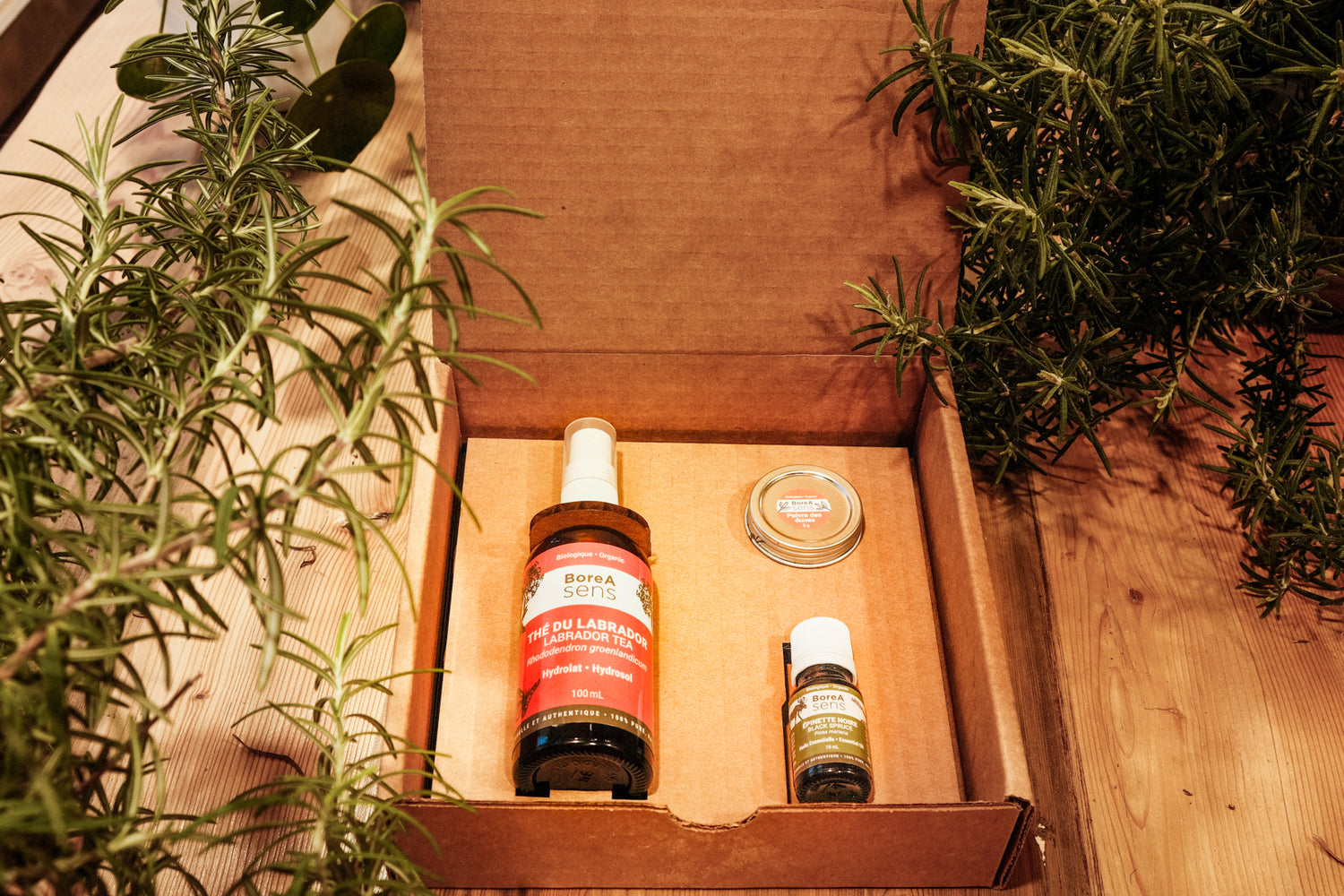 Boreal Forest Gift Set