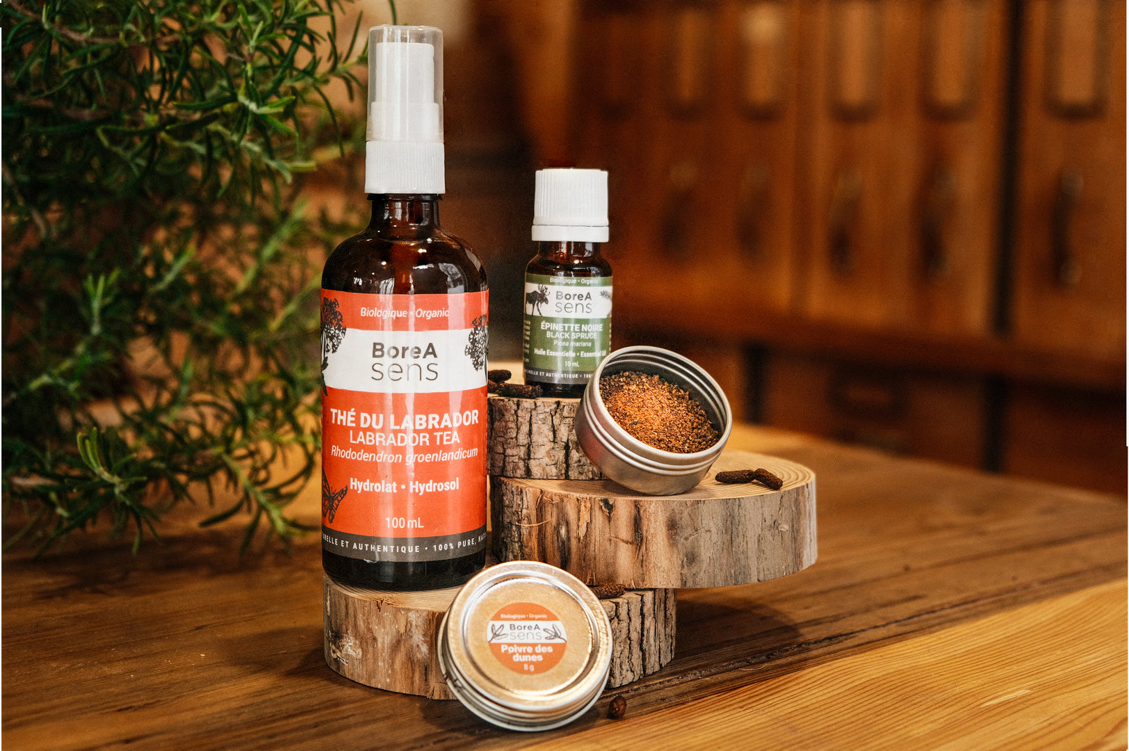 Boreal Forest Gift Set