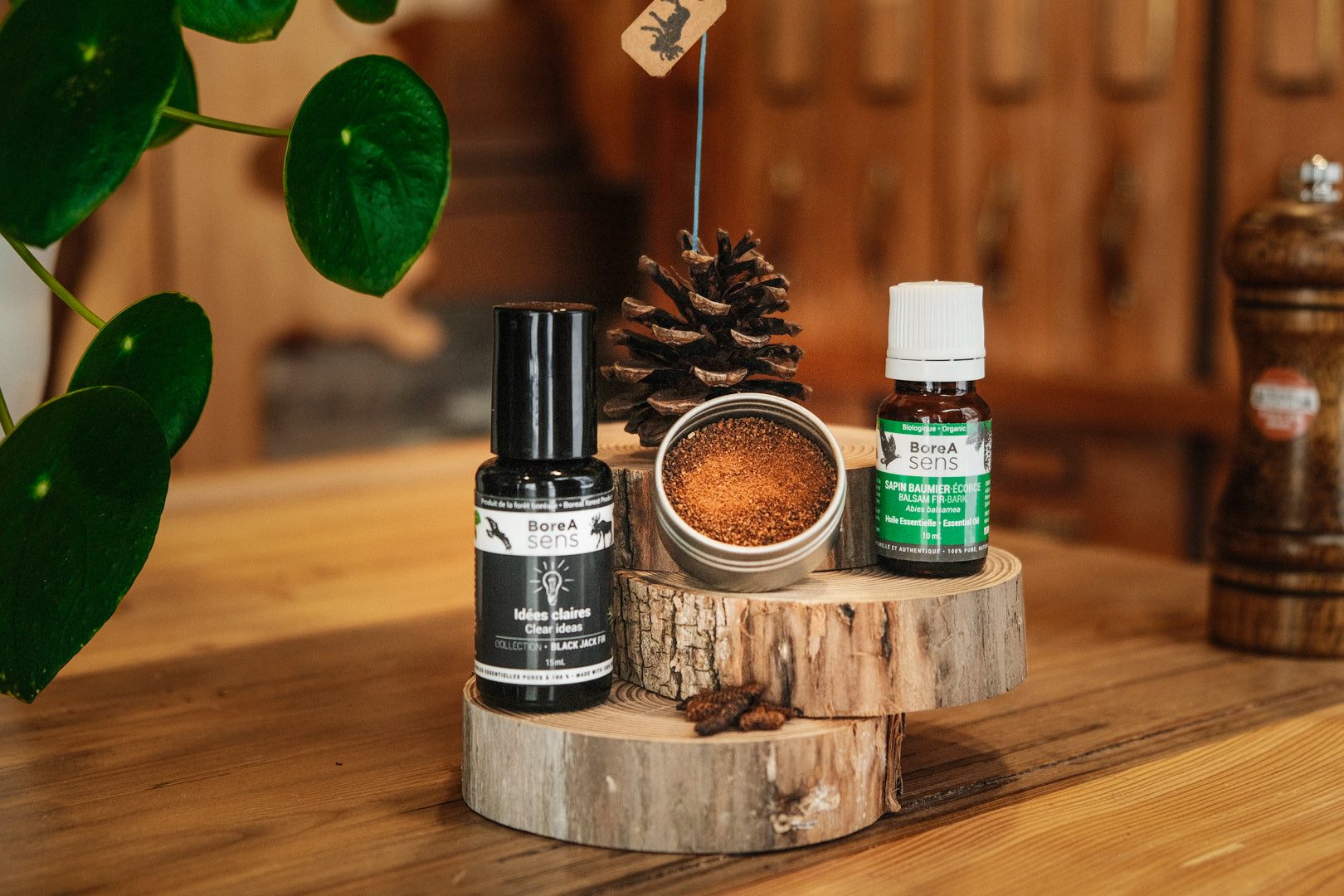 Ensemble cadeau Éveil boréal