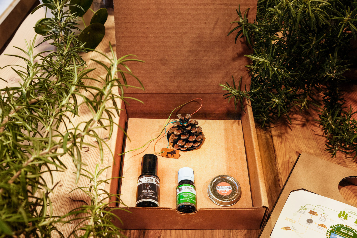 Ensemble cadeau Éveil boréal