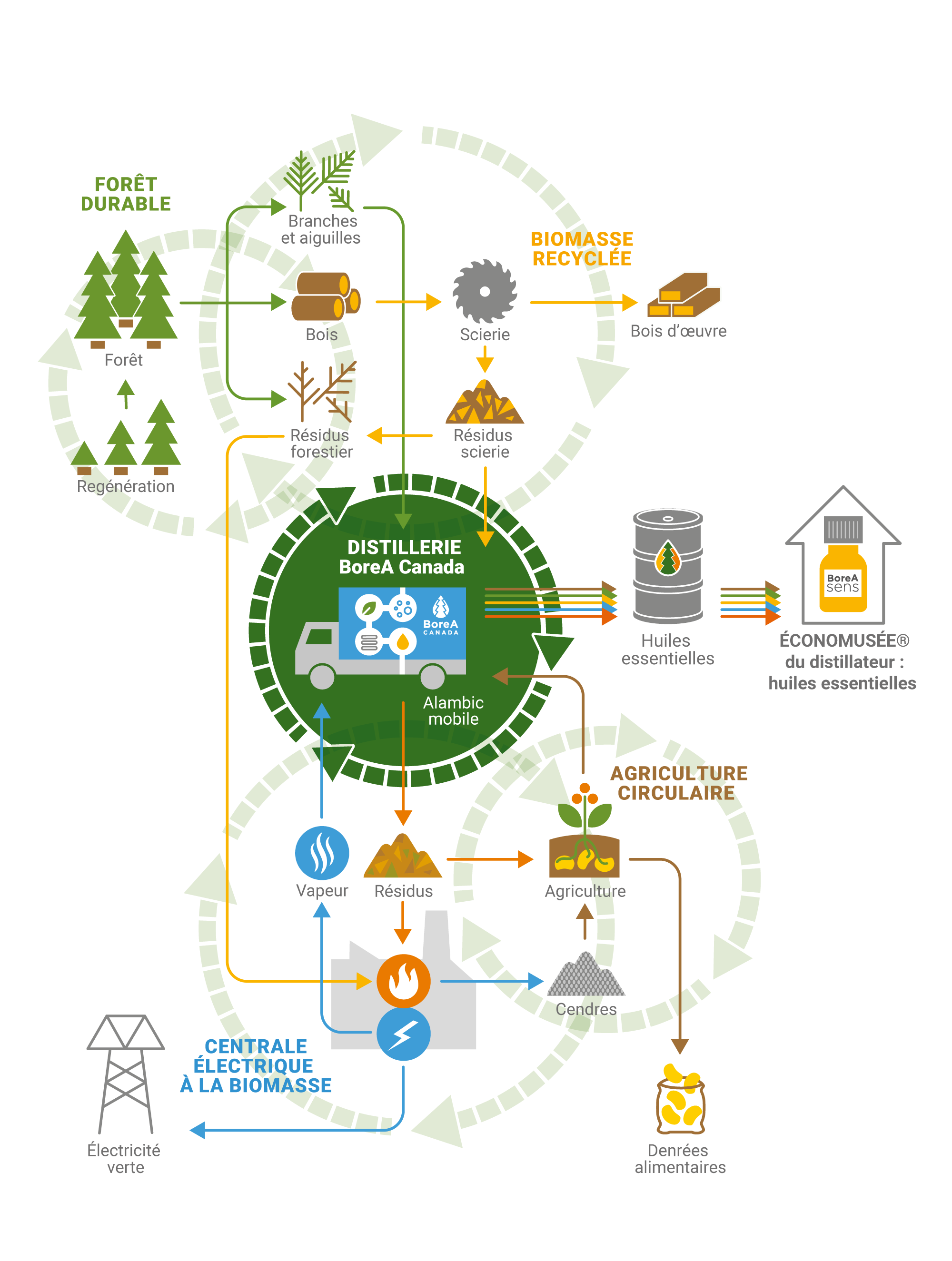 Schéma de l'économie circulaire