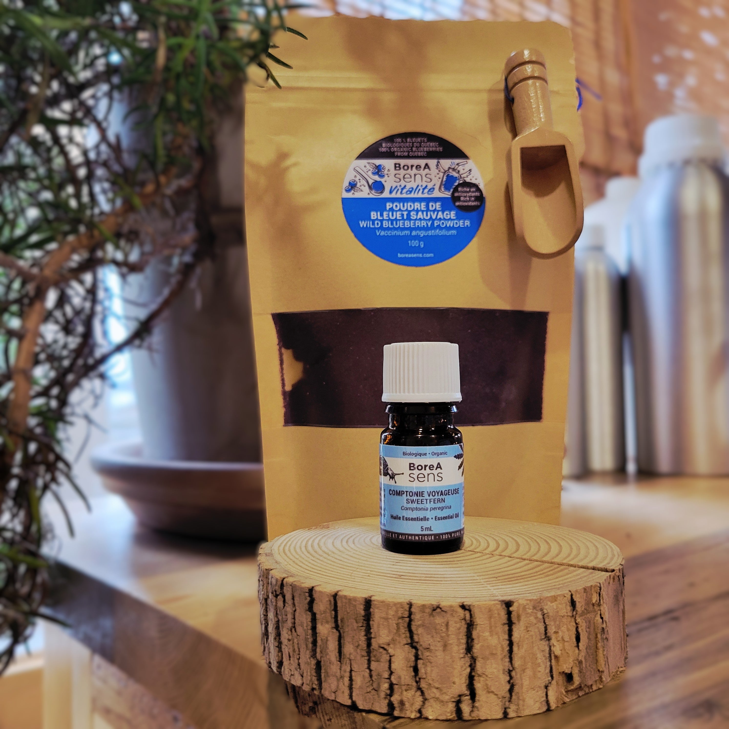 Duo Comptonie Voyageuse et Bleuet BIO