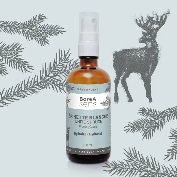 White Spruce Hydrosol - Organic