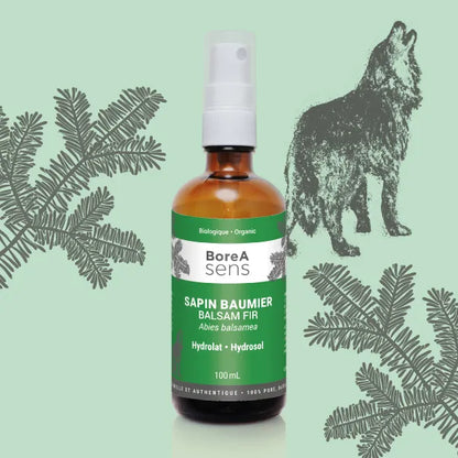 Balsam Fir – Organic