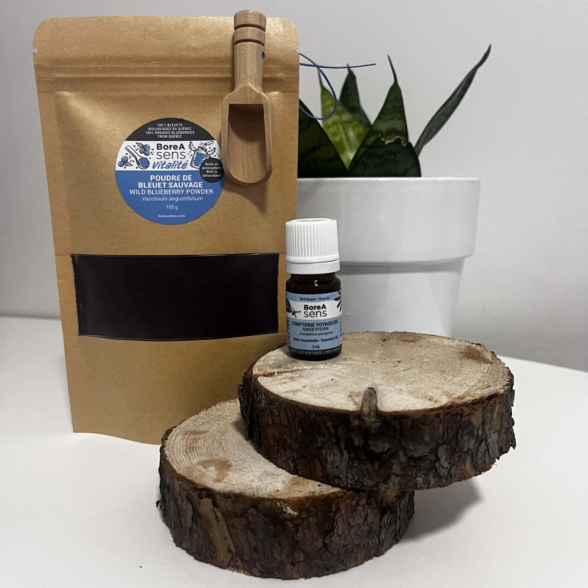 Wild Blueberry Powder 