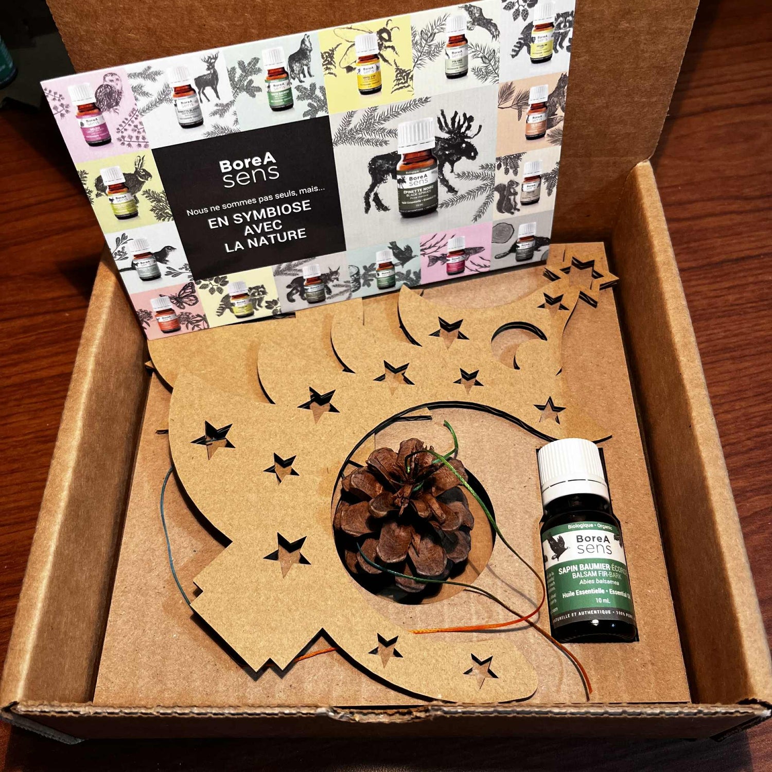 Ensemble cadeau — Magie boréale