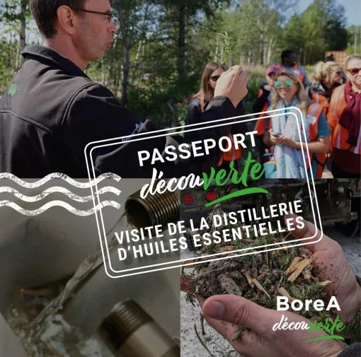 Passeport DécouVERTE • Saison 2024-2025