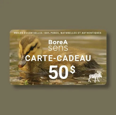 Carte-cadeau BoreA SENS